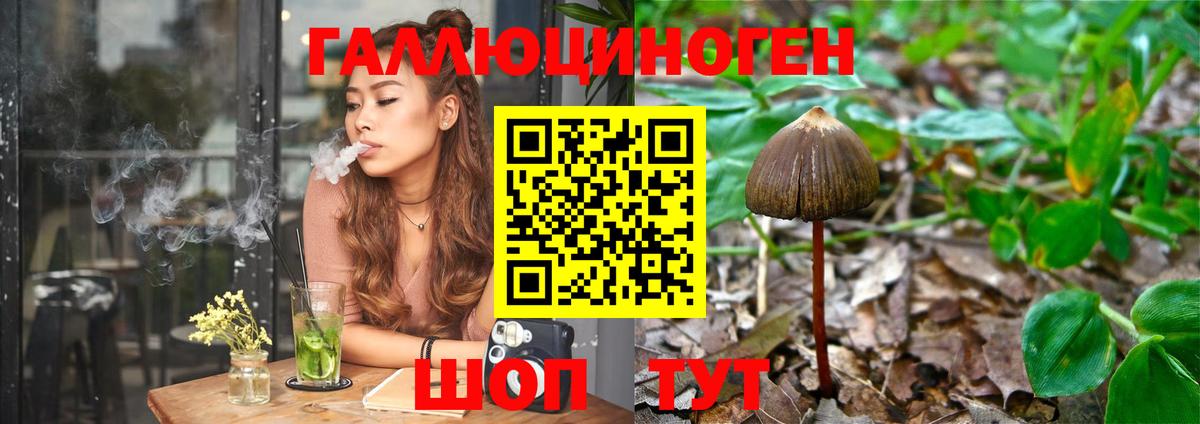 Стрежевой  Галлюциногенные грибы Psilocybine cubensis  Вход с VPN  Галлюциногенные грибы Psilocybe 